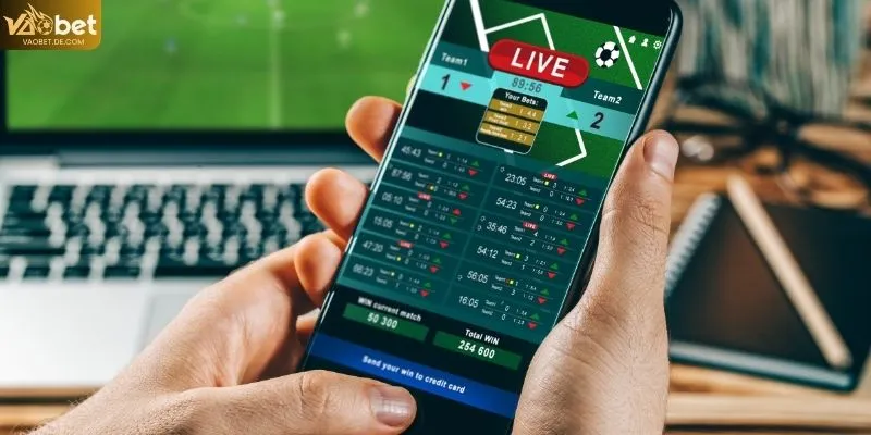 Điều khoản dịch vụ cá cược trong hoạt động cá cược