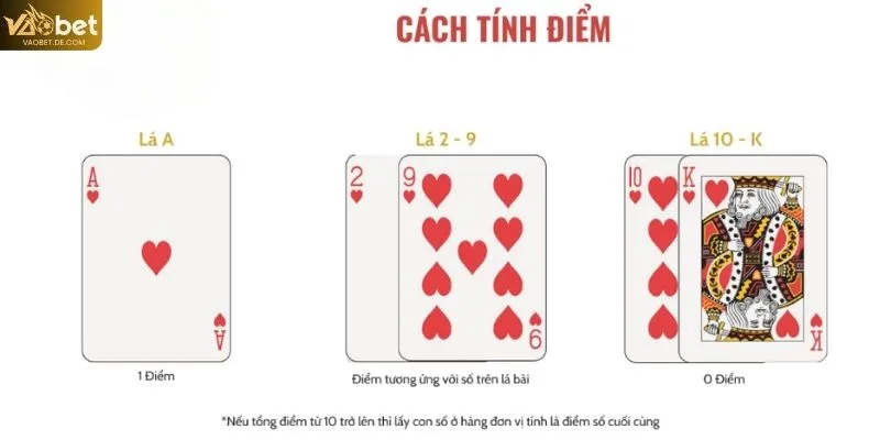 Quy tắc tính điểm